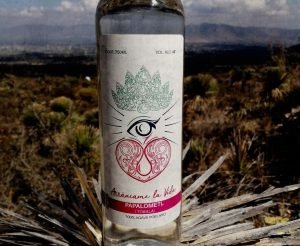 Arrancame la Vida es el mejor mezcal de Puebla y Mexico