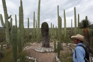 Biznaga gigante de tehuacan