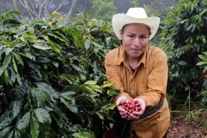 Como llegar a la Bioruta del Café Puebla 2024