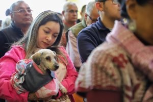 17 de enero Día de San Antonio Abad