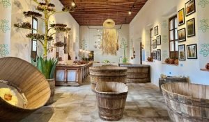 Museo del Pulque en Tlaxcala