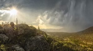 Reserva de la Biósfera Tehuacán-Cuicatlán