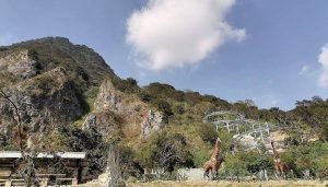 El Tobogán de la Montaña es el primer Alpine Coaster de LA