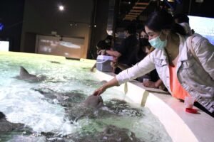 Acuario Michin Puebla es una gran opción para las próximas vacaciones
