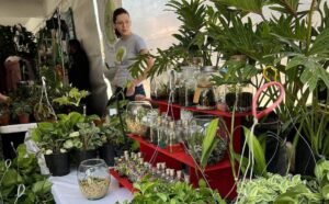 Plan Fest Cholula