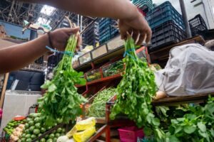 Precio del cilantro en Puebla 2024