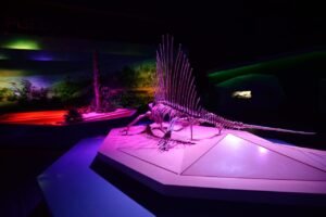 Museo de la Evolución Puebla 2024