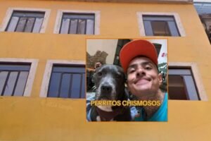 Perrito más chismoso de Puebla con Fer Carnal