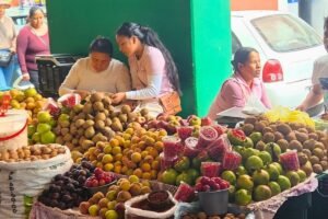 chiles en nogada ingredientes