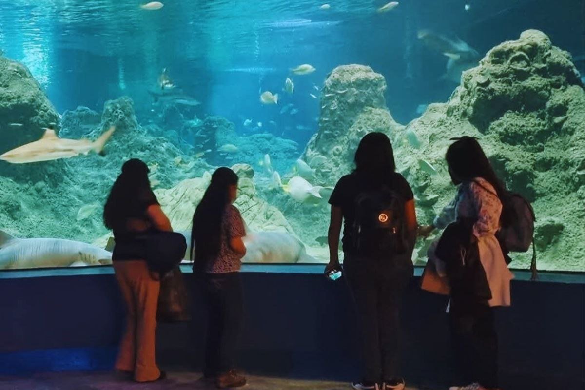 acuario michin puebla 2025