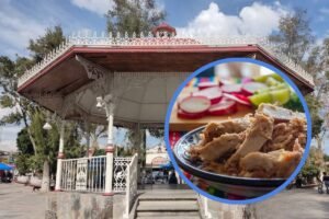 feria carnitas totimehuacan