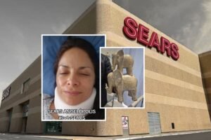 lady sears puebla