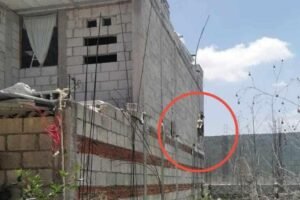perrito maltrato puebla