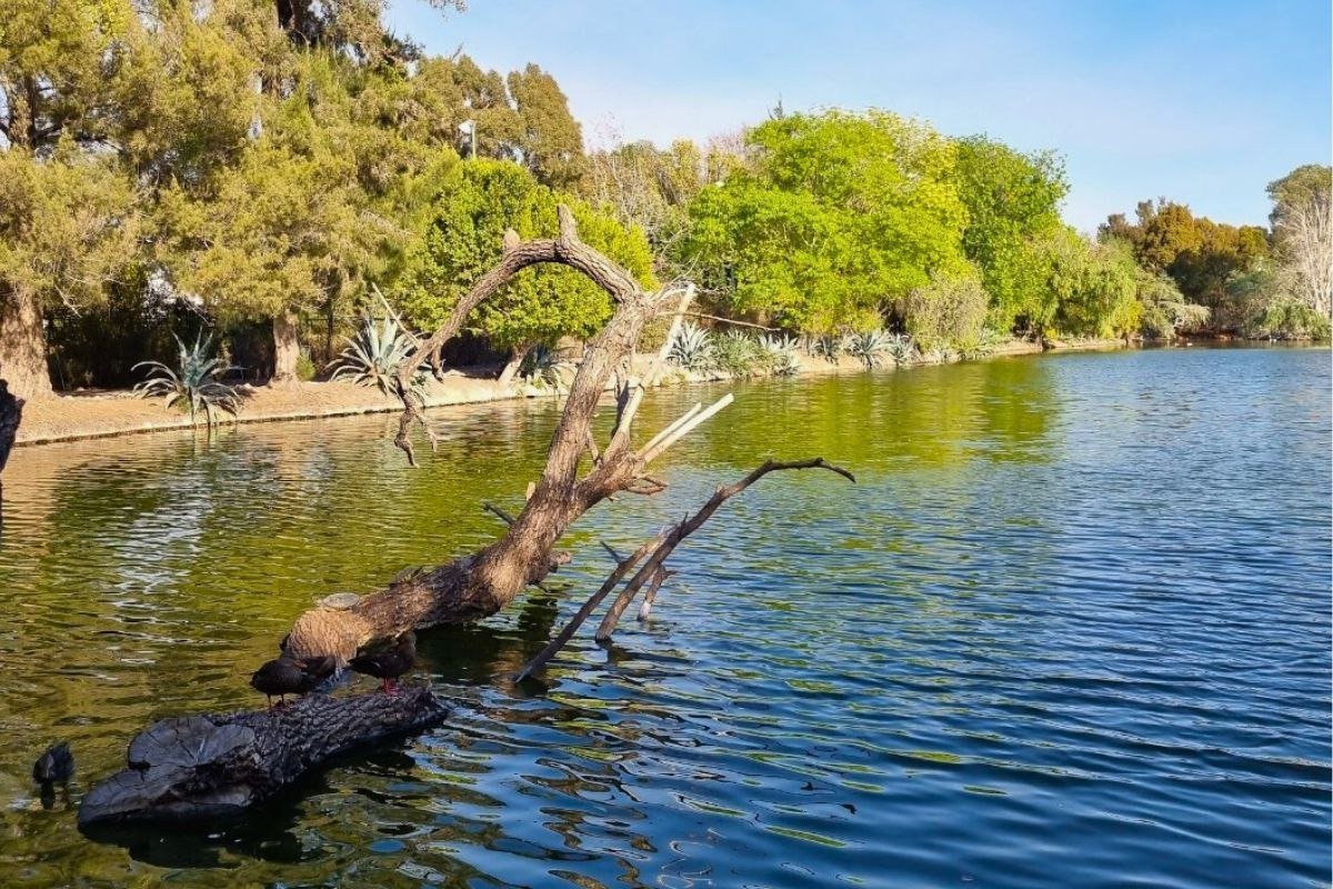 laguna san baltazar