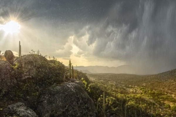 Reserva de la Biósfera Tehuacán-Cuicatlán