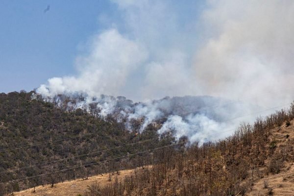 410 incendios forestales en Puebla durante 2024