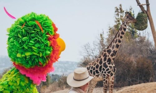 Abelardo de Sésamo y Benito en Africam Puebla