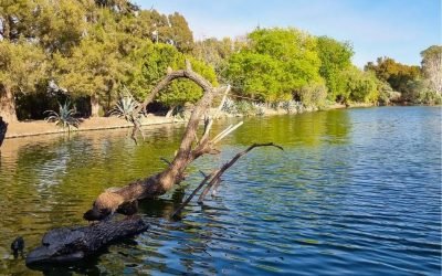 laguna san baltazar