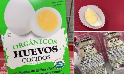 huevos cocidos