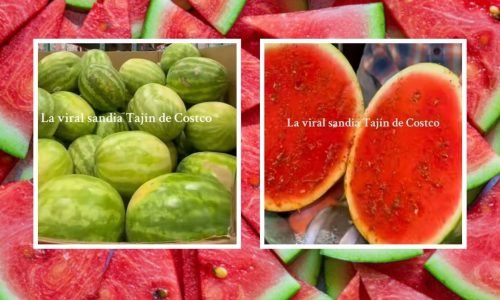 Sandía Tajín México