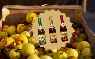 sidra de huejotzingo pueblo magico